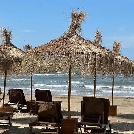 Apartment Blue Dream